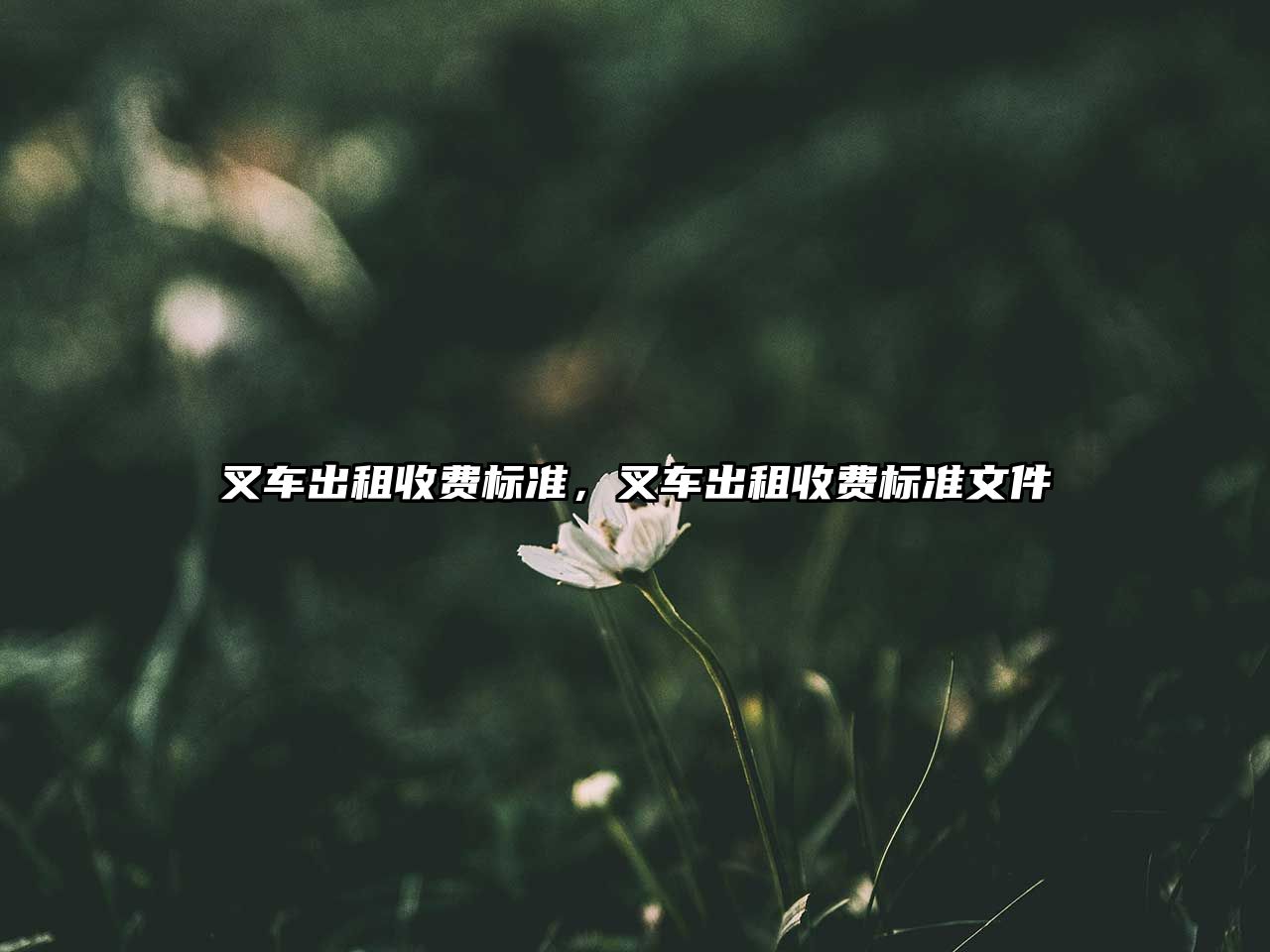 叉車出租收費標(biāo)準(zhǔn)，叉車出租收費標(biāo)準(zhǔn)文件